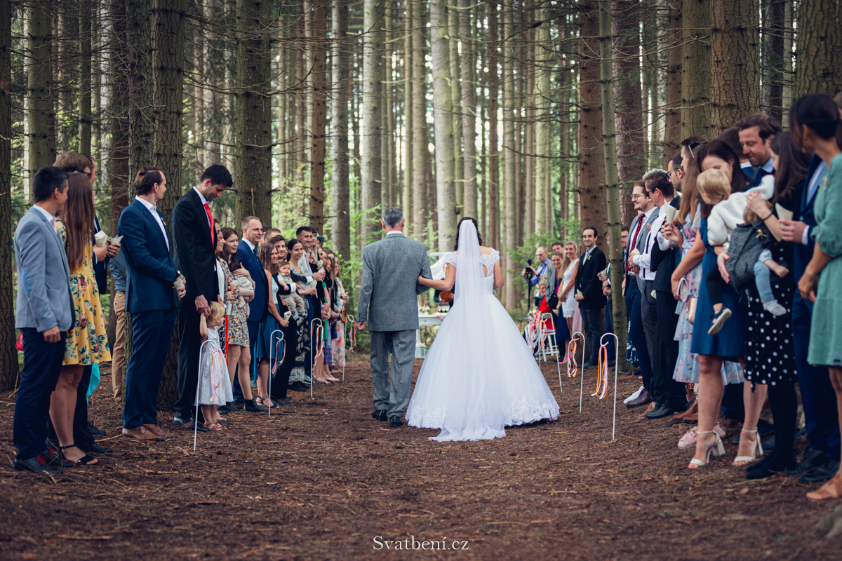 Svatba v lese: 13 tipů, jak naplánovat dokonalou lesní svatbu